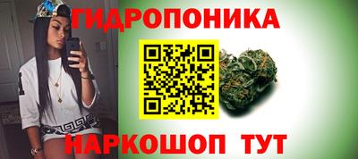 крисы Севастополь