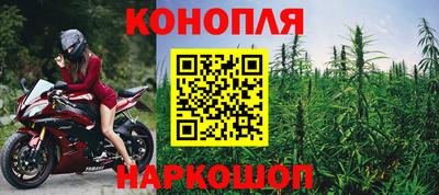 крисы Рыбинск