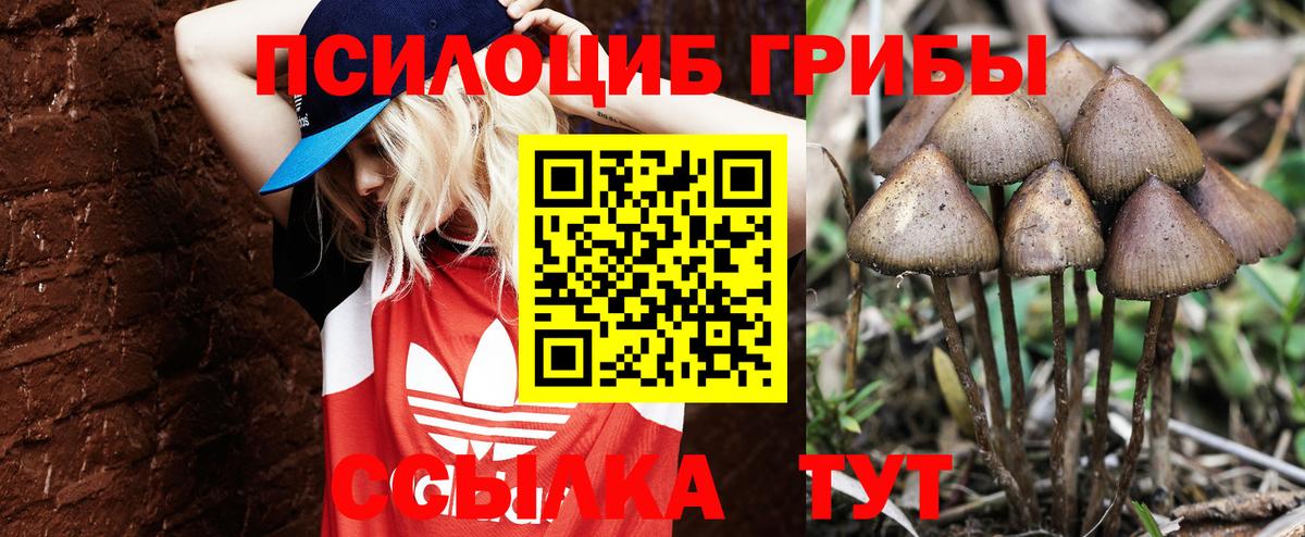 Галлюциногенные грибы MAGIC MUSHROOMS Рассказово
